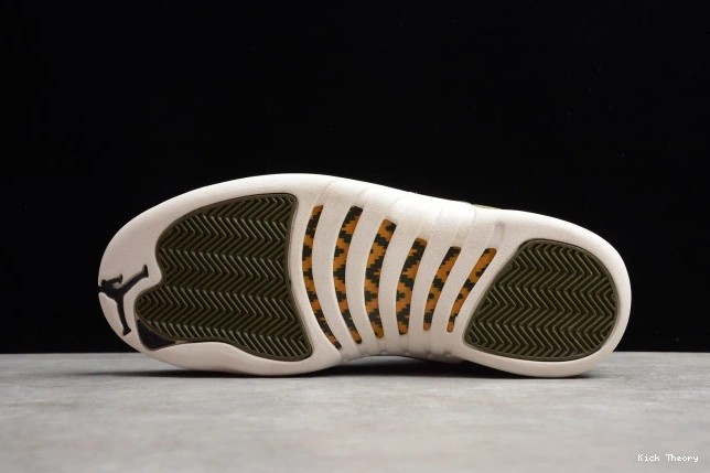 Kicktheory Paul Chris 130690-301 2003 Jordan Air 12 Class of 0715